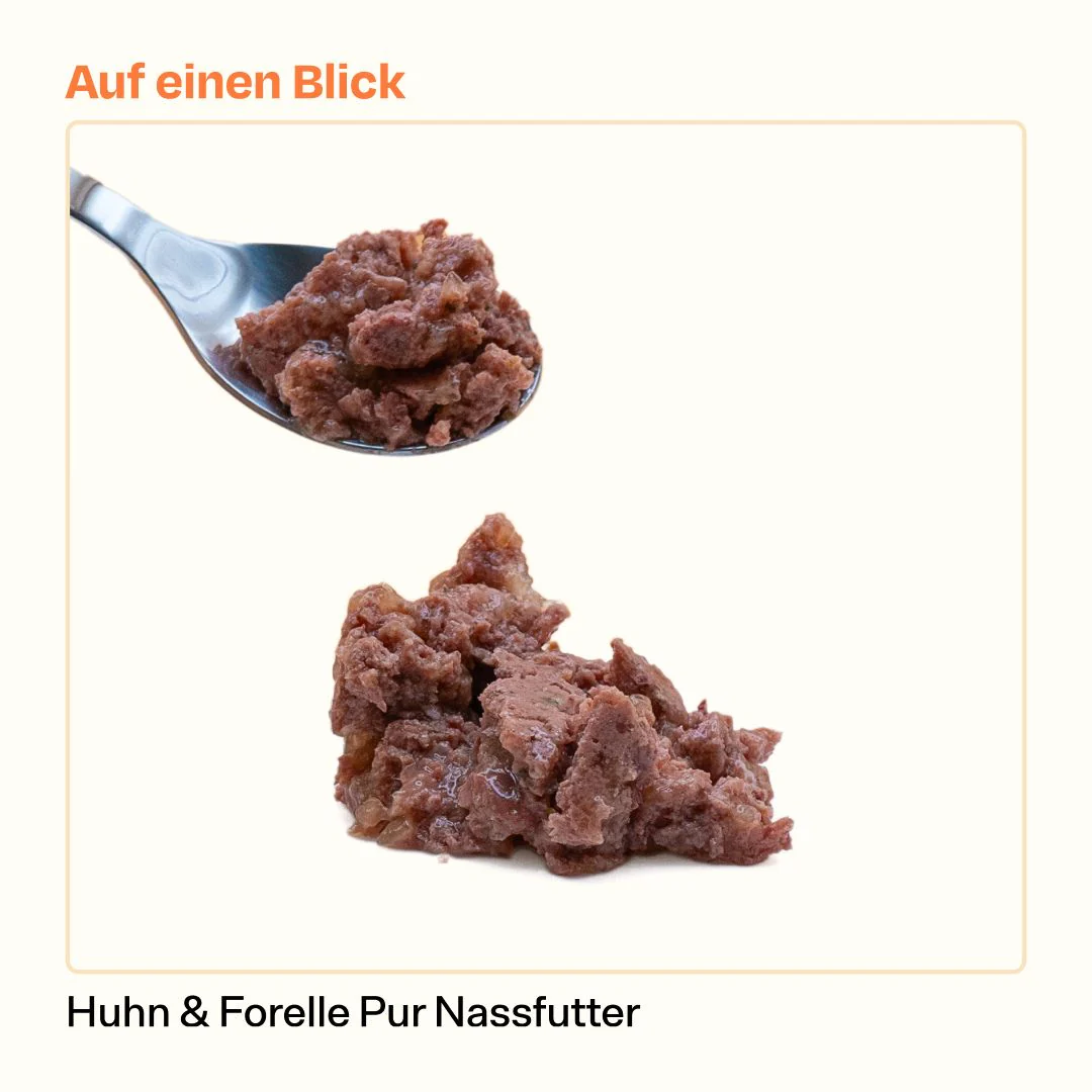 Nassfutter Huhn Mix - Image 7