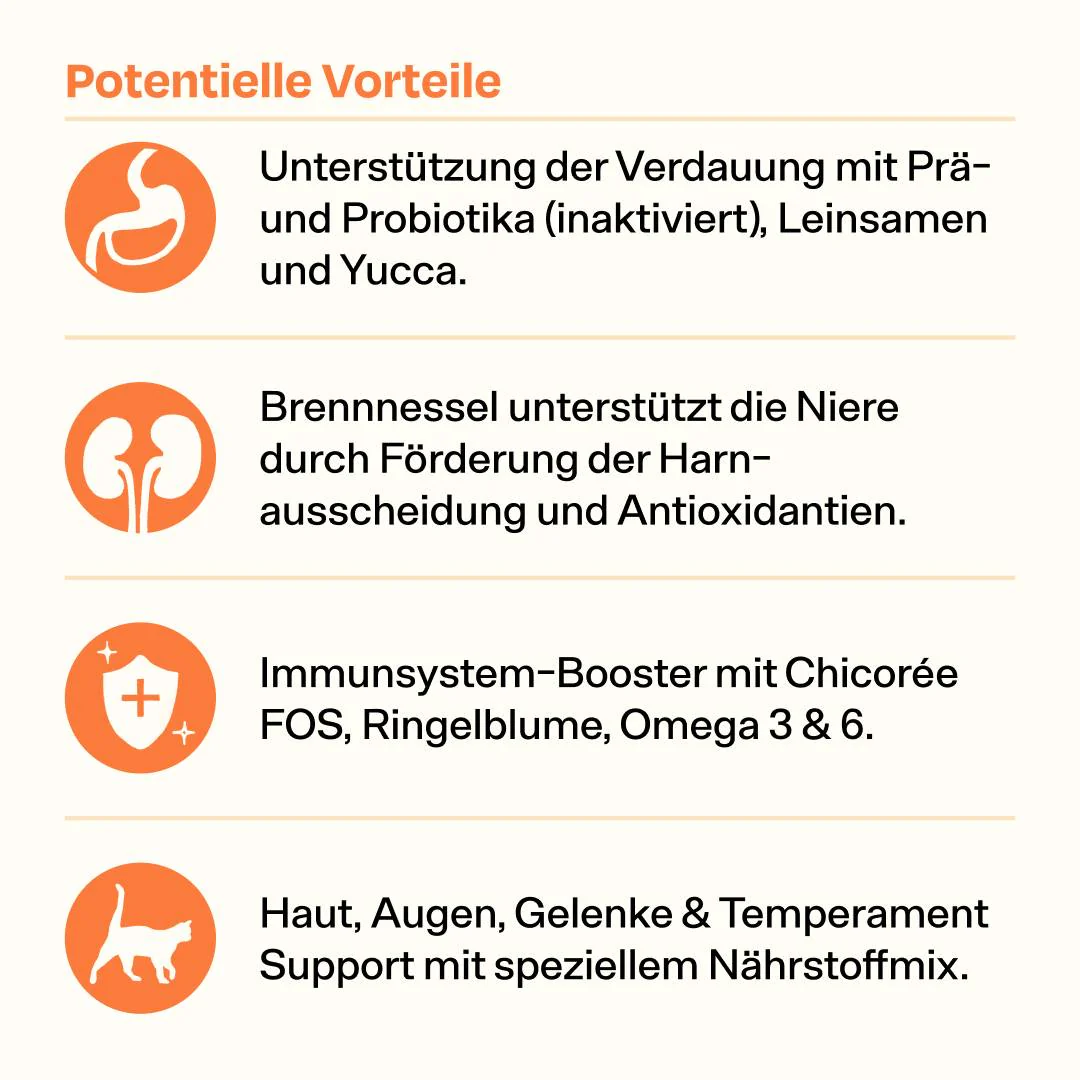 Maxi Probier-Pack - Image 4
