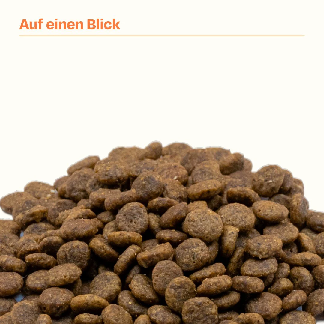 2kg Getreidefrei frisches Huhn 🐔 & 2kg frischer Lachs 🐟 Trockenfutter - Image 6