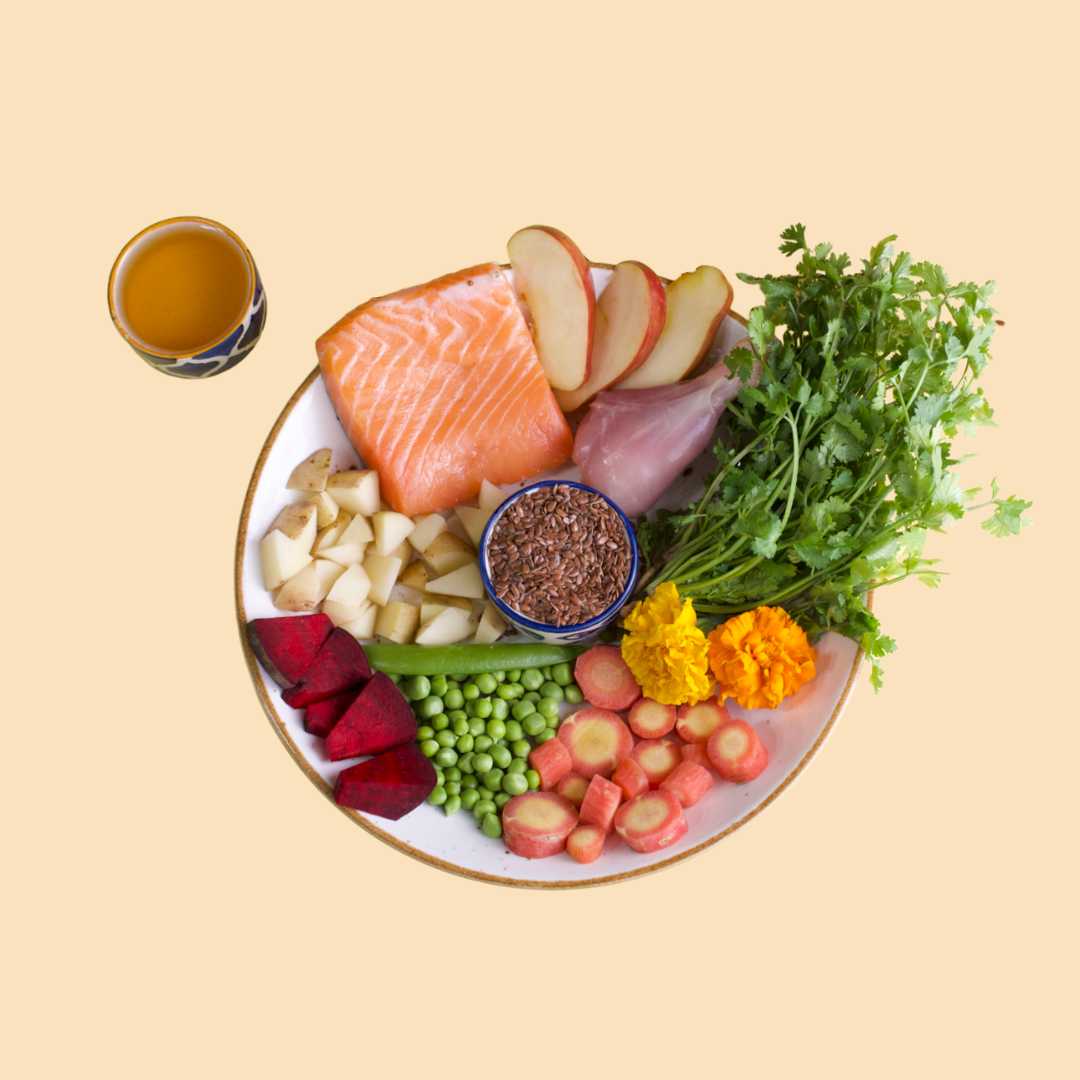 2kg Getreidefrei frisches Huhn 🐔 & 2kg frischer Lachs 🐟 Trockenfutter - Image 8