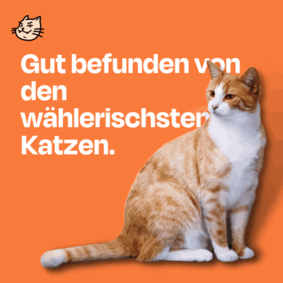 50g gefriergetrockneter purer Hühnersnack 🐔 - Image 8