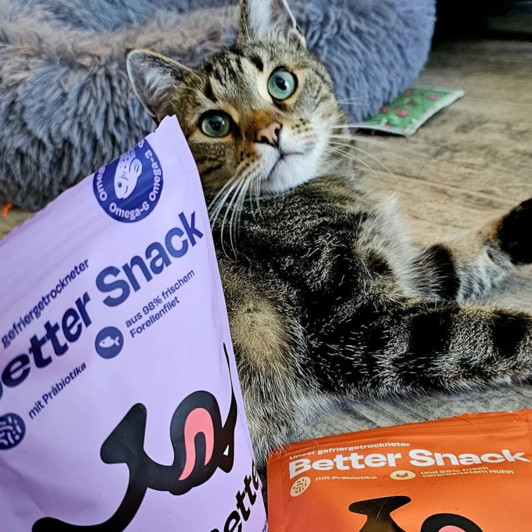 50g gefriergetrockneter purer Forellensnack 🐟 - Image 9