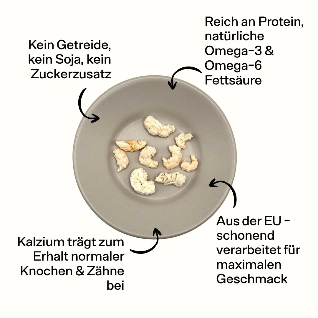 40g gefriergetrockneter Garnelen-Snack - Signature Selection 🦐 - Image 8