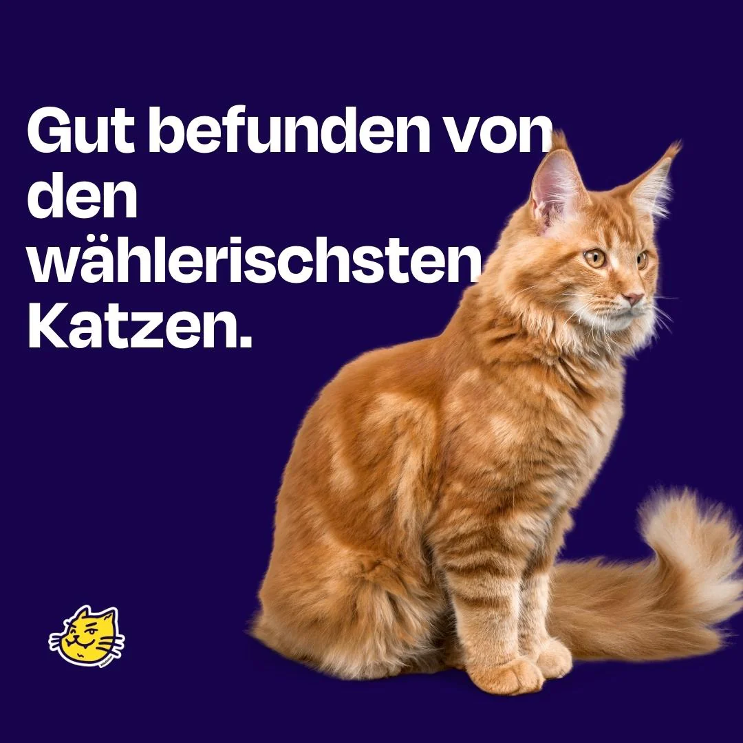50g gefriergetrockneter purer Forellensnack 🐟 - Image 8