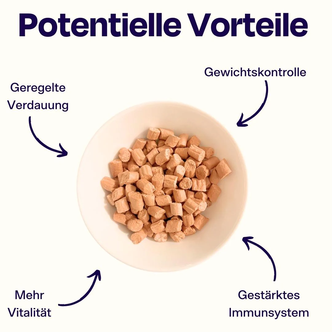 6x50g gefriergetrockneter Forellensnack 🐟 - Image 4