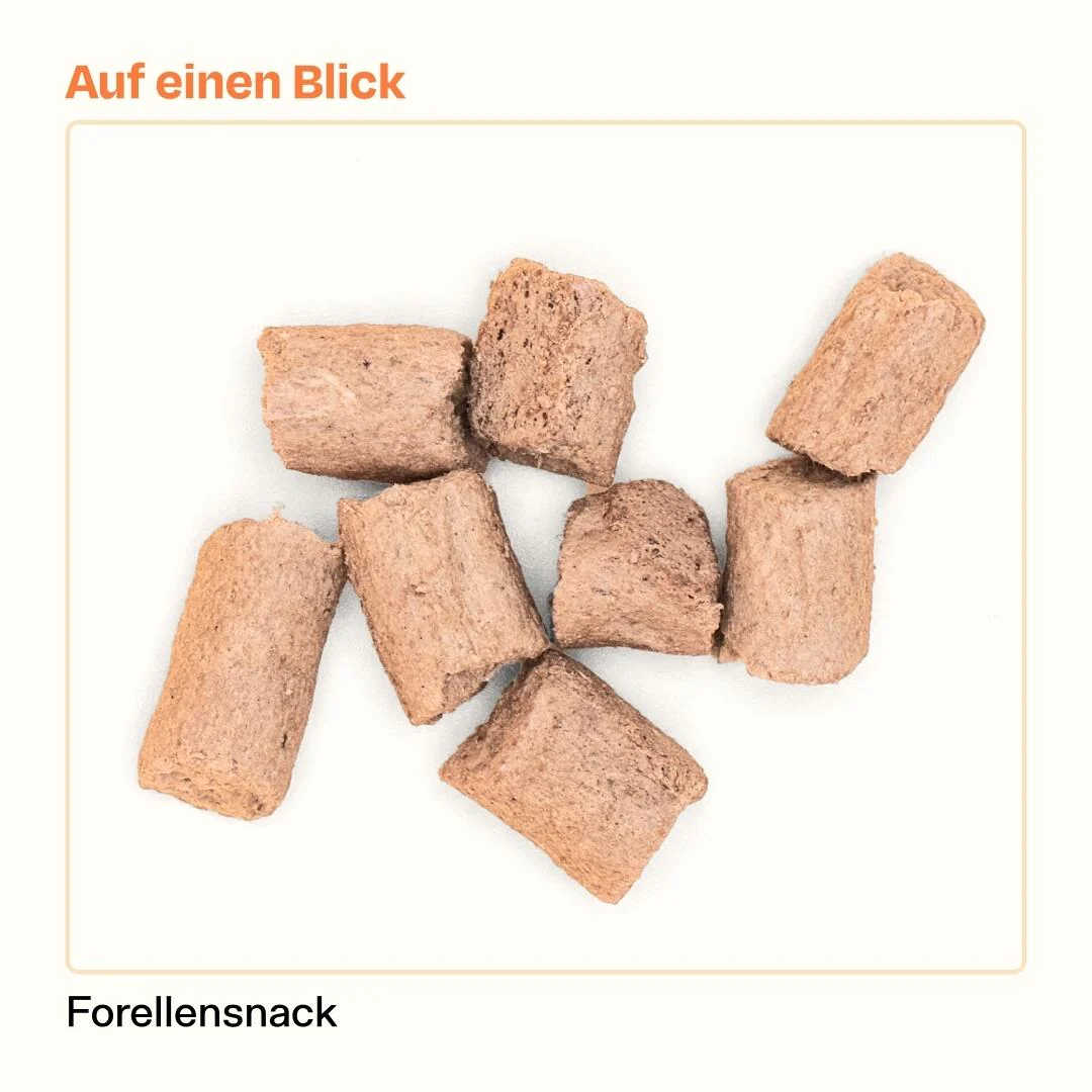 6x50g gefriergetrockneter Forellensnack 🐟 - Image 5