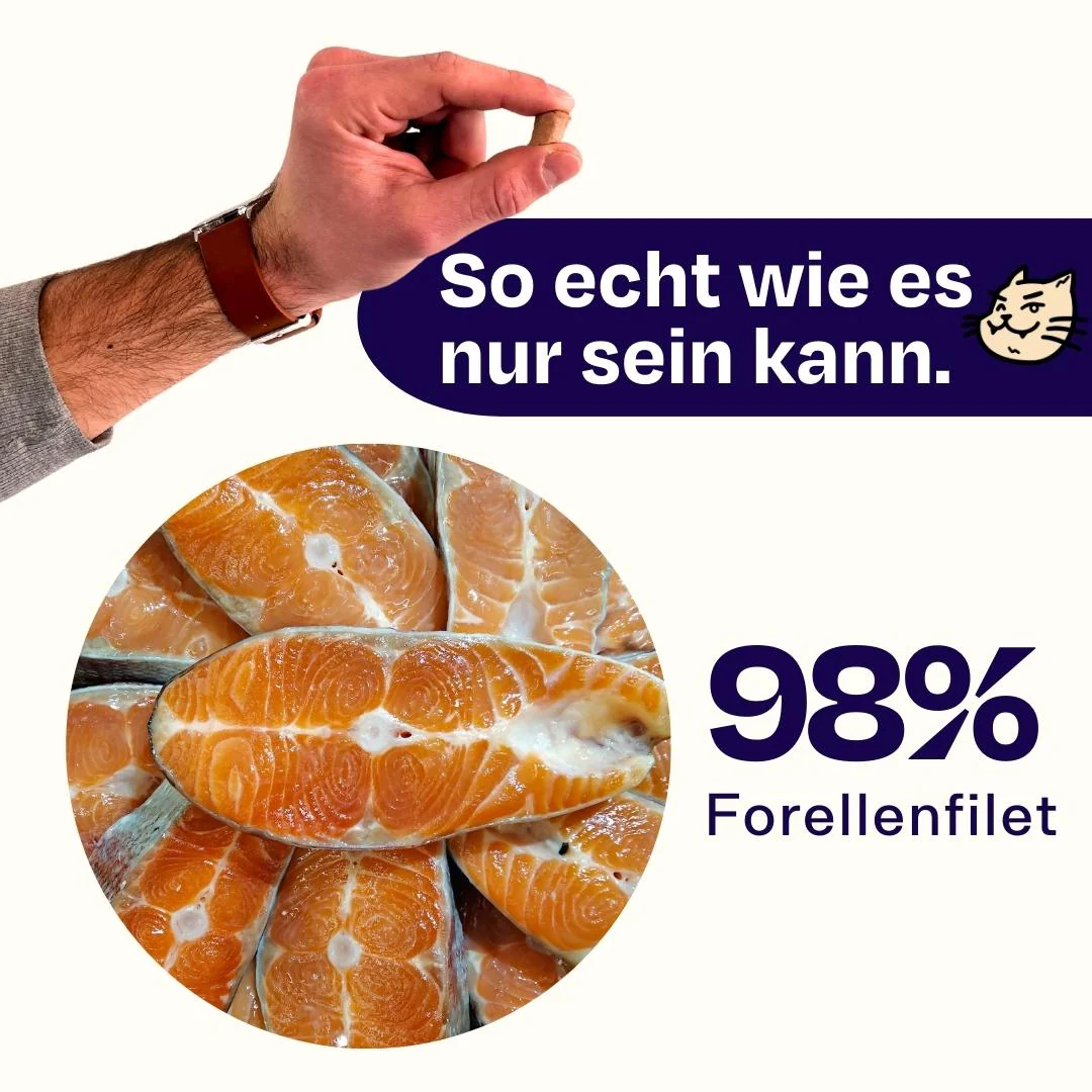 6x50g gefriergetrockneter Forellensnack 🐟 - Image 7