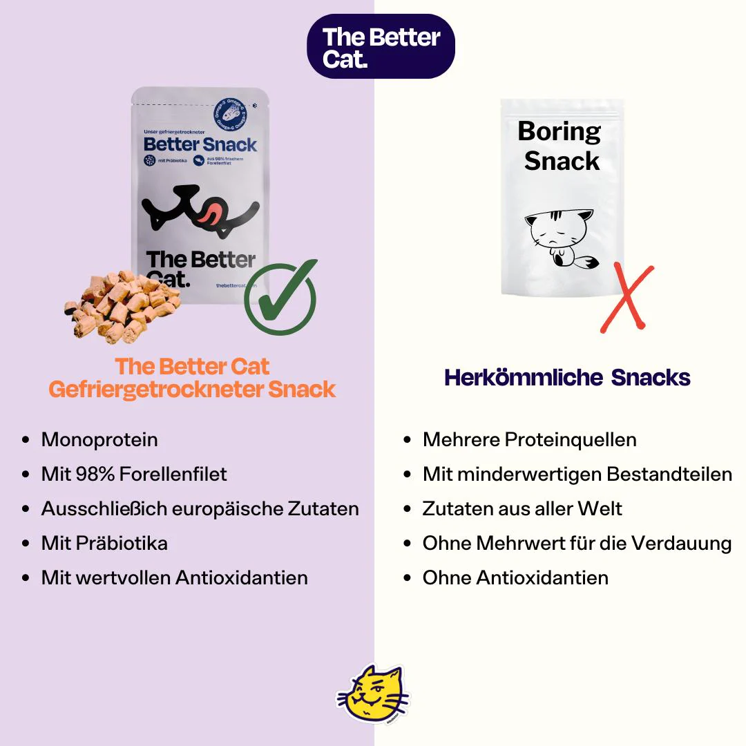 6x50g gefriergetrockneter Forellensnack 🐟 - Image 9