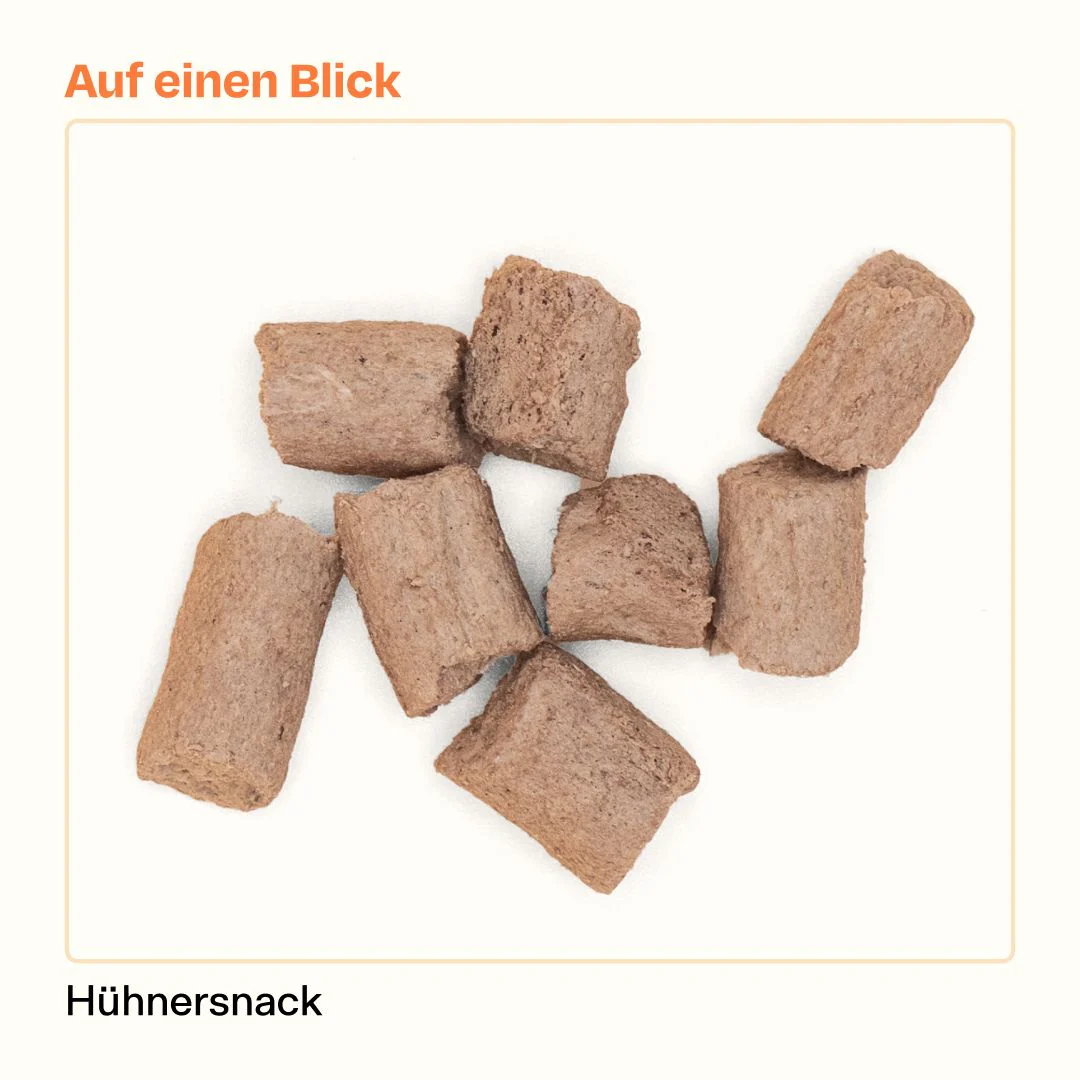 6x50g gefriergetrockneter Hühnersnack 🐔 - Image 7