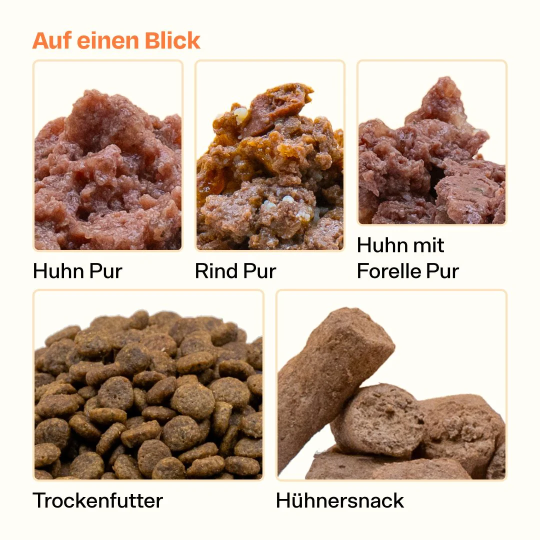 Maxi Probier-Pack - Image 5