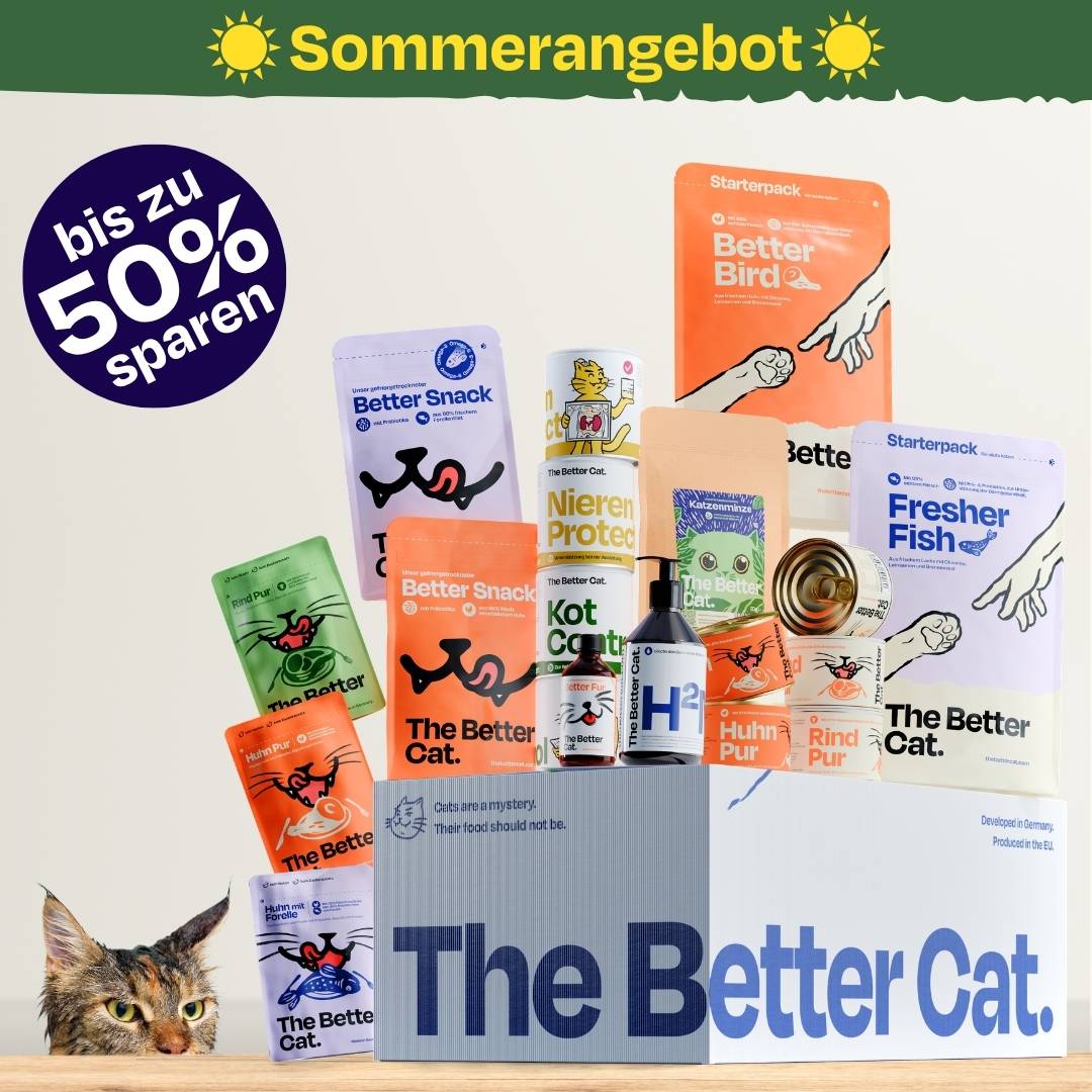 Personalisiere das Bundle deiner Katze