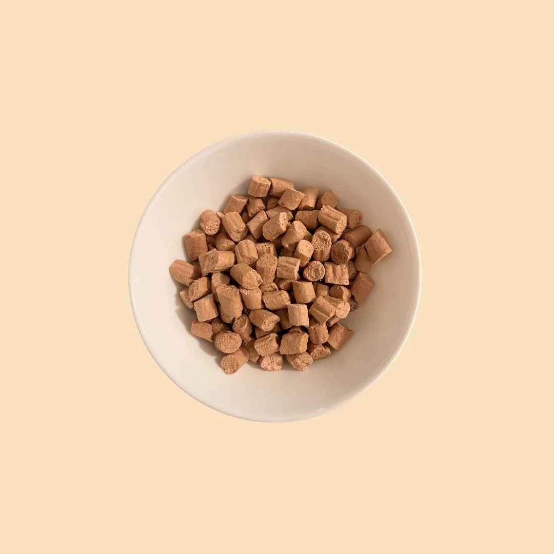 Frisches Trockenfutter Probier-Pack - Image 10