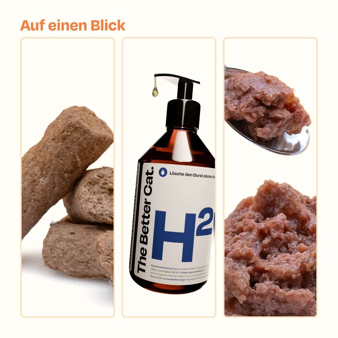 Nassfutter Starterpack inkl. GRATIS H2Miau Hydration Booster - Image 13