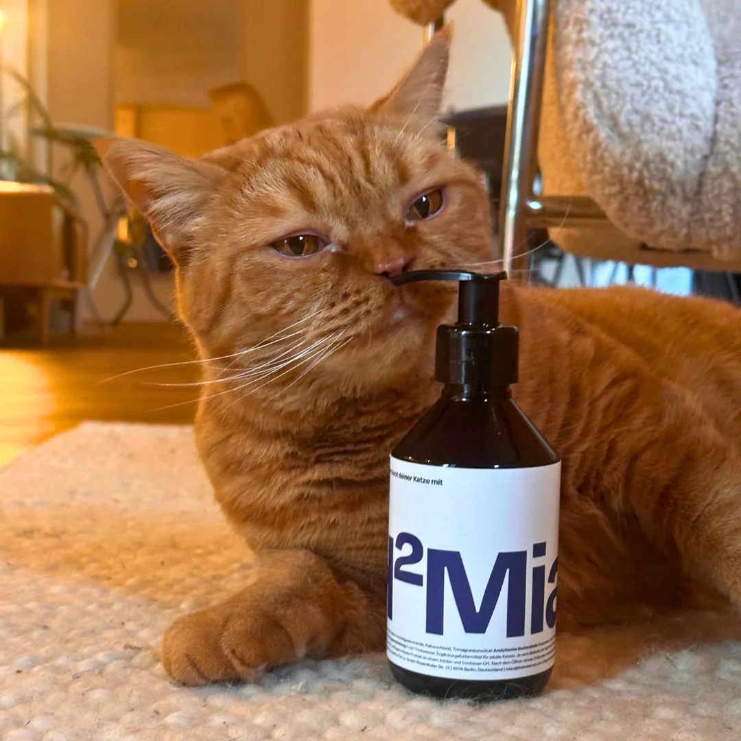H2Miau Hydration Booster - Image 4