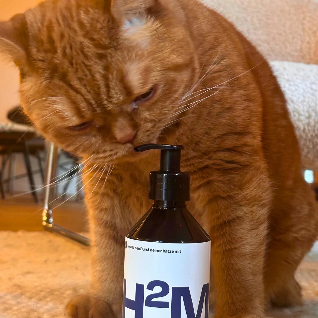 H2Miau Hydration Booster - Image 6