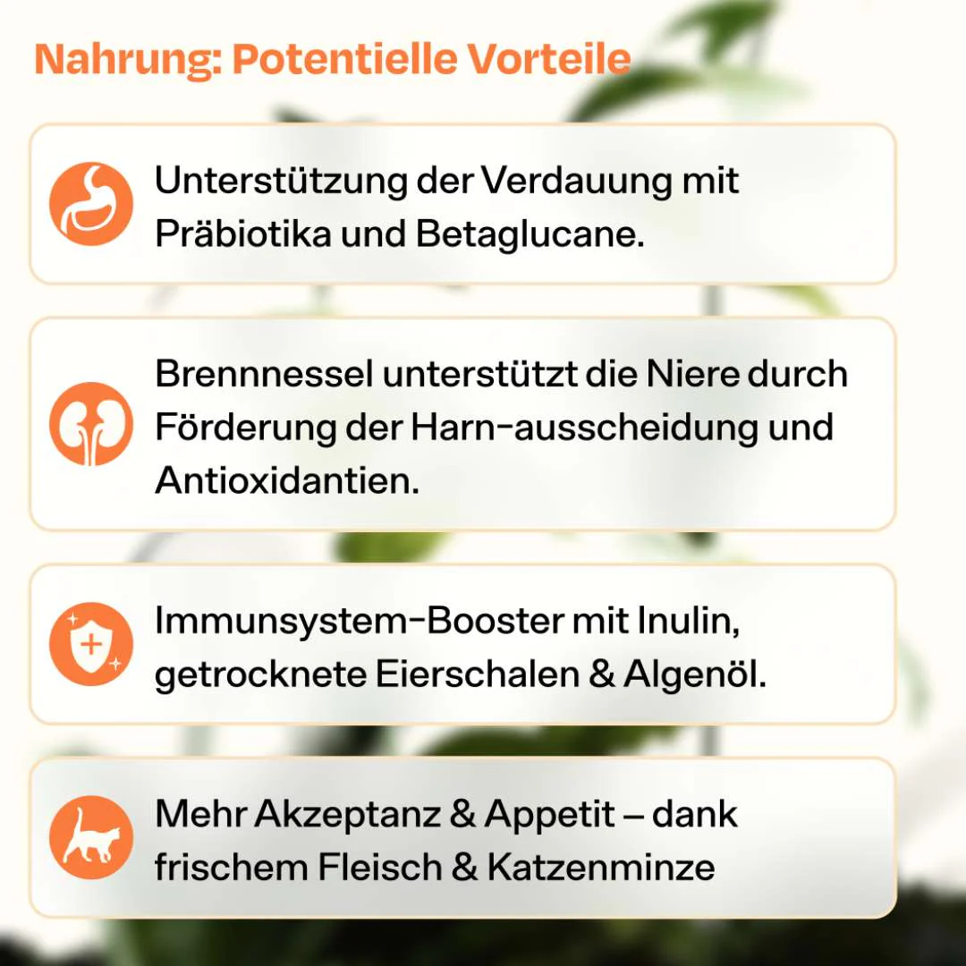 Nassfutter Volumenpaket - Dosen - Image 4