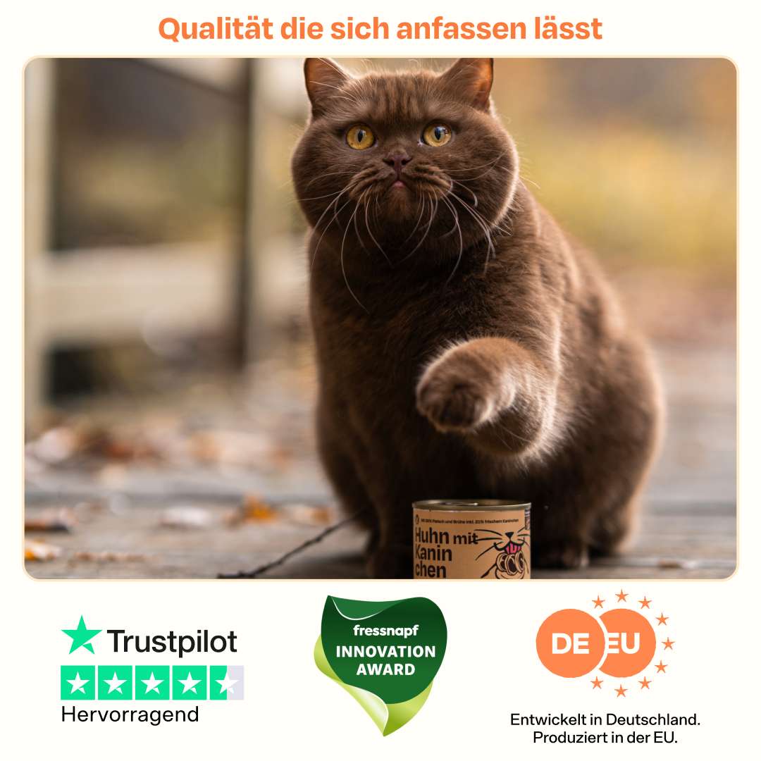 Nassfutter Volumenpaket - Dosen - Image 8