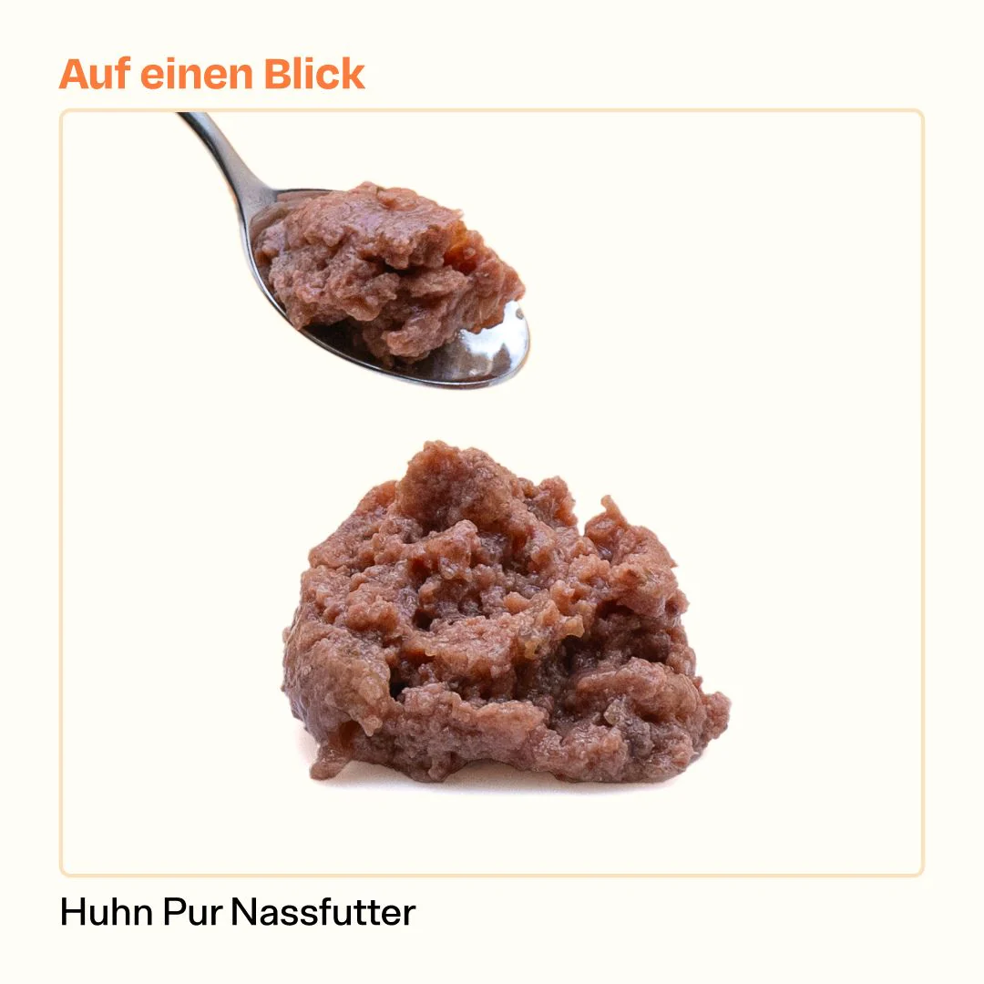 6x200g Monoprotein Huhn Pur Nassfutter - Image 4