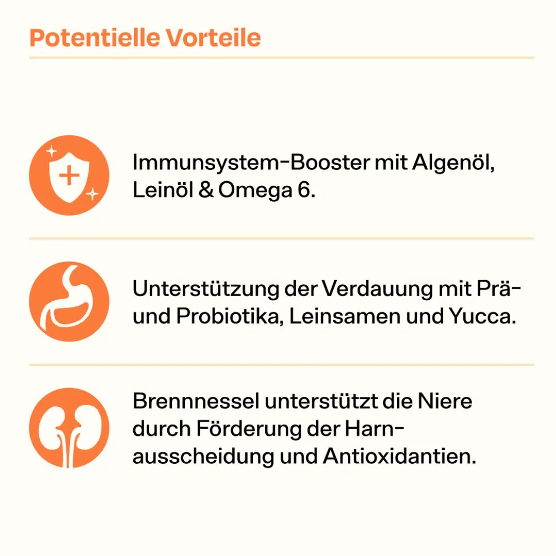 Katzenschnupfen Pack - Image 3