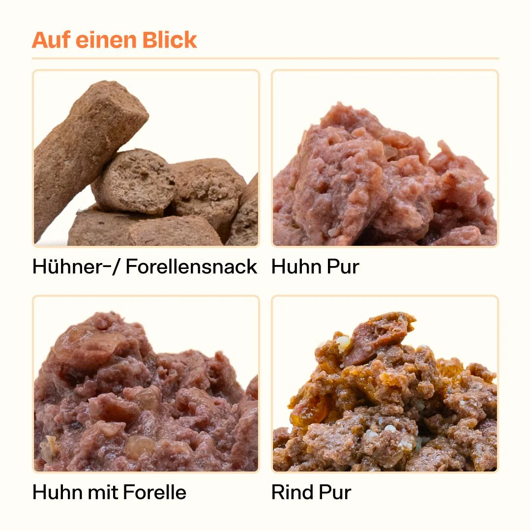 Katzenschnupfen Pack - Image 5