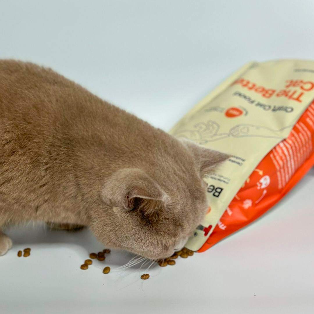 Frisches Starterpack inkl. GRATIS Appetit Booster Proben - Image 12