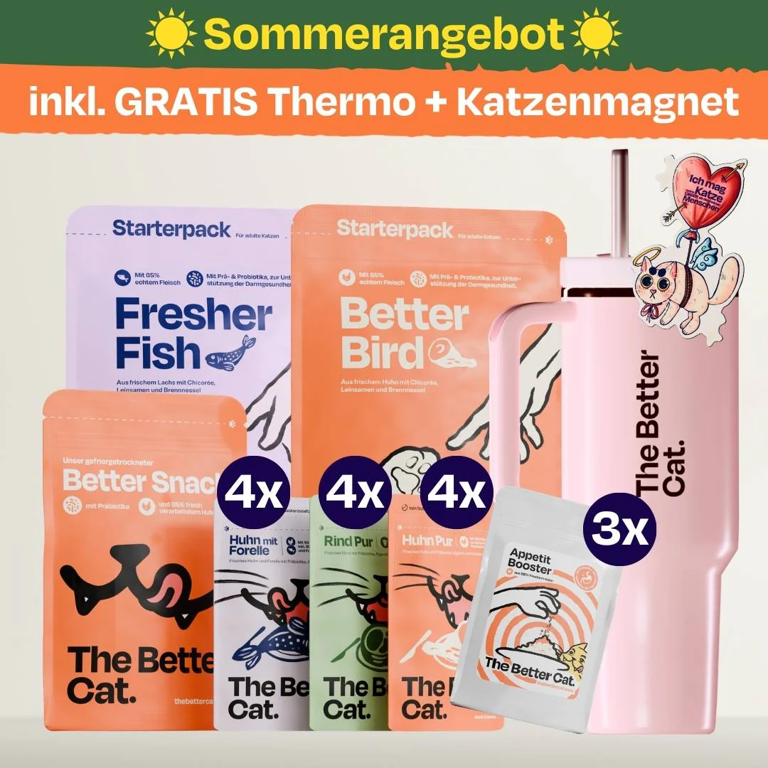Katzenliebe Bundle inkl. GRATIS Thermo im Stanley Stil - Image 28