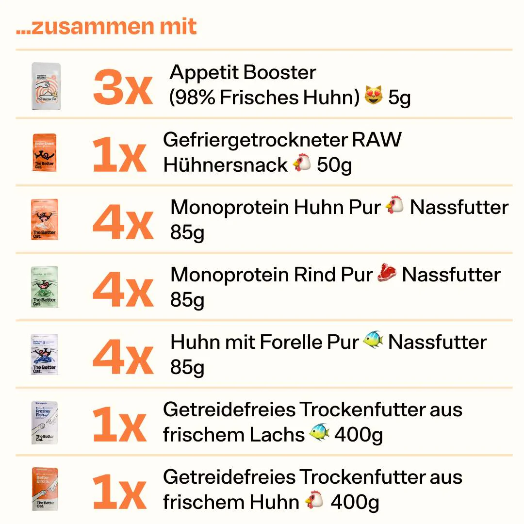 Katzenliebe Bundle inkl. GRATIS Thermo im Stanley Stil - Image 3