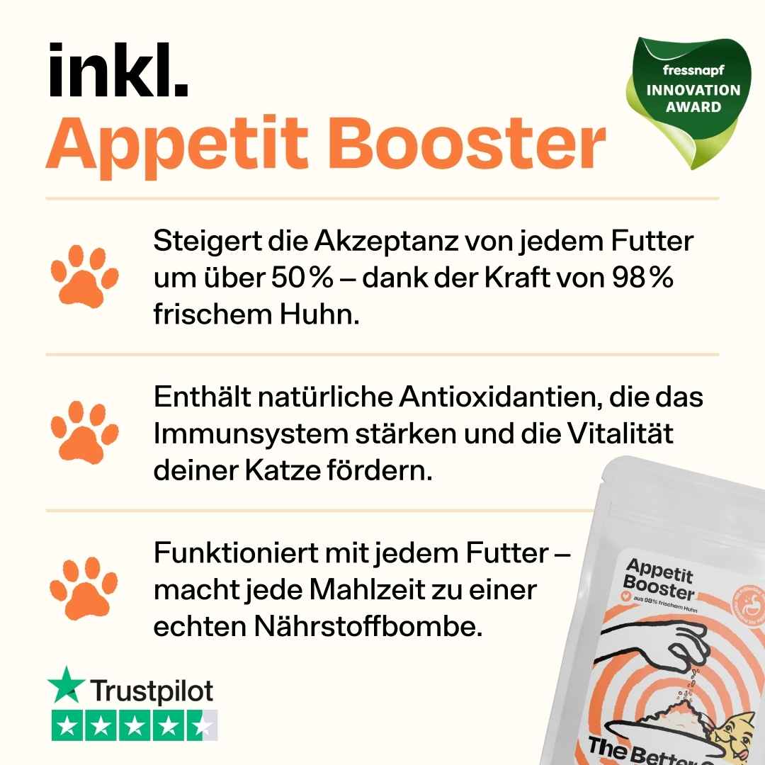 Katzenliebe Bundle inkl. GRATIS Thermo im Stanley Stil - Image 5