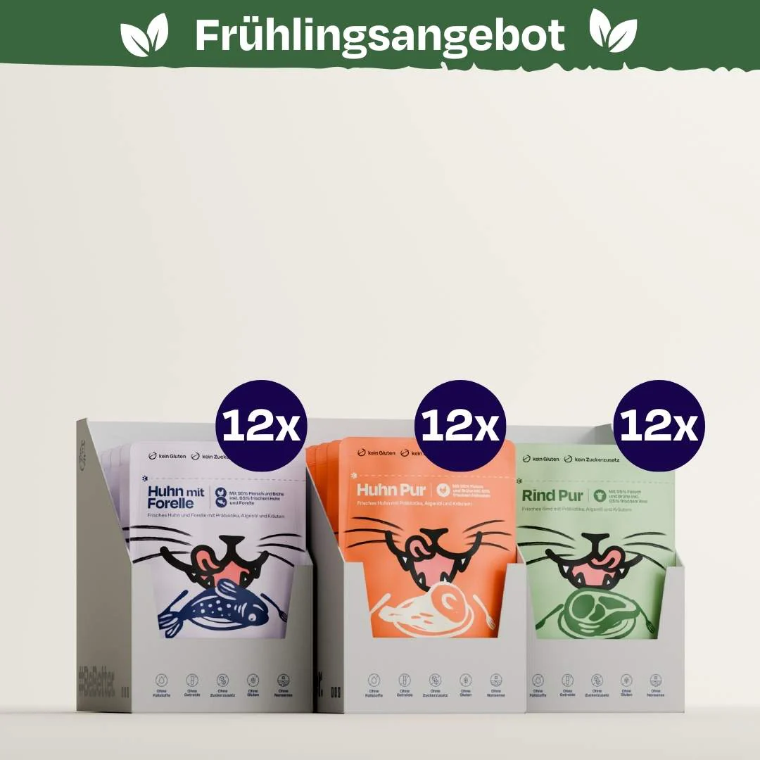 Nass Super Sparpaket Sparplan (Huhn + Rind + Forelle)