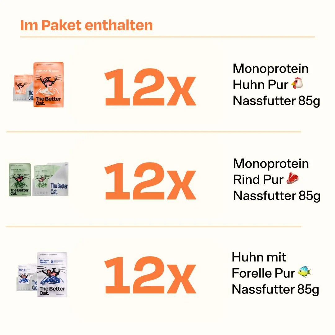 Nass Super Sparpaket Sparplan (Huhn + Rind + Forelle) - Image 2