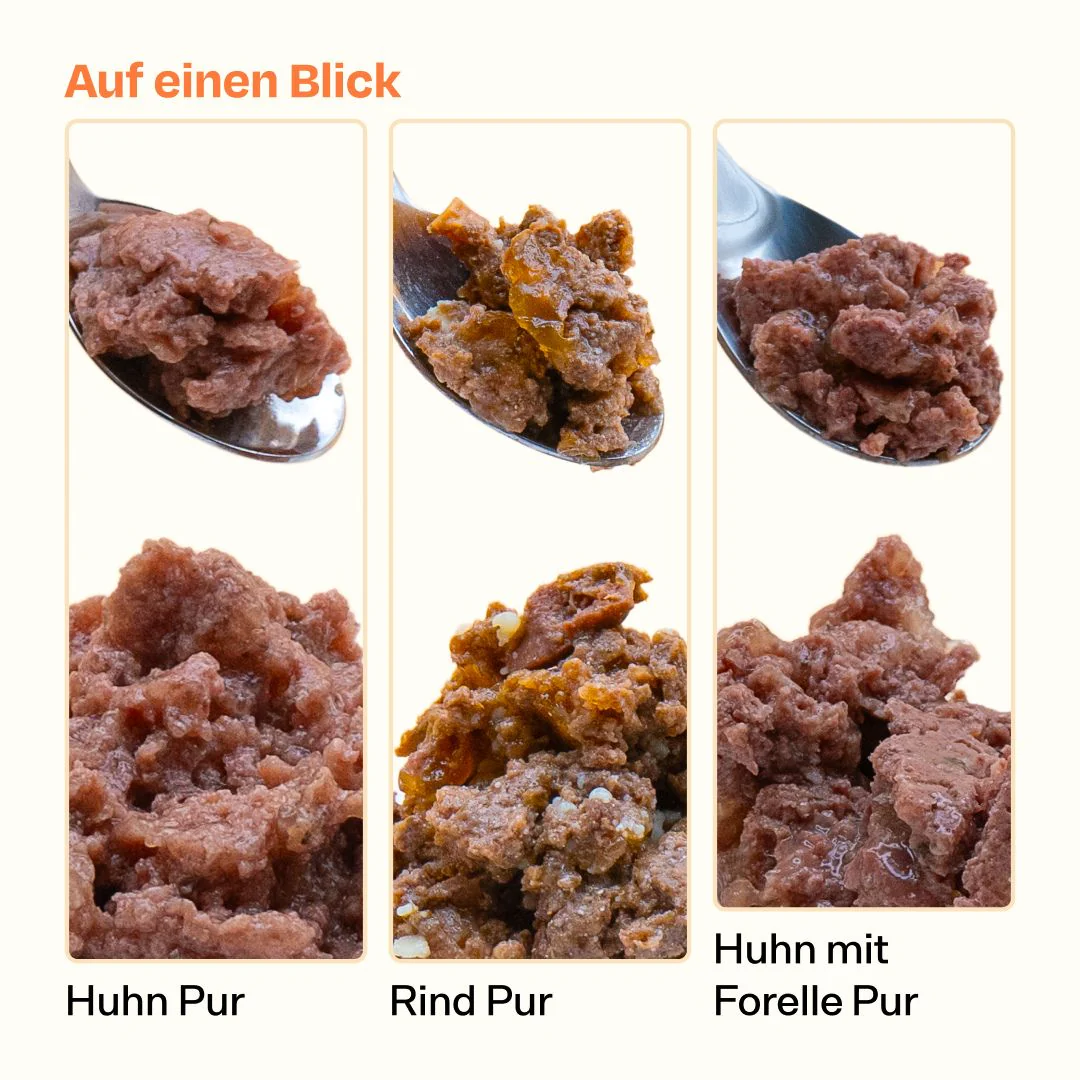 Nass Super Sparpaket Sparplan (Huhn + Rind + Forelle) - Image 6
