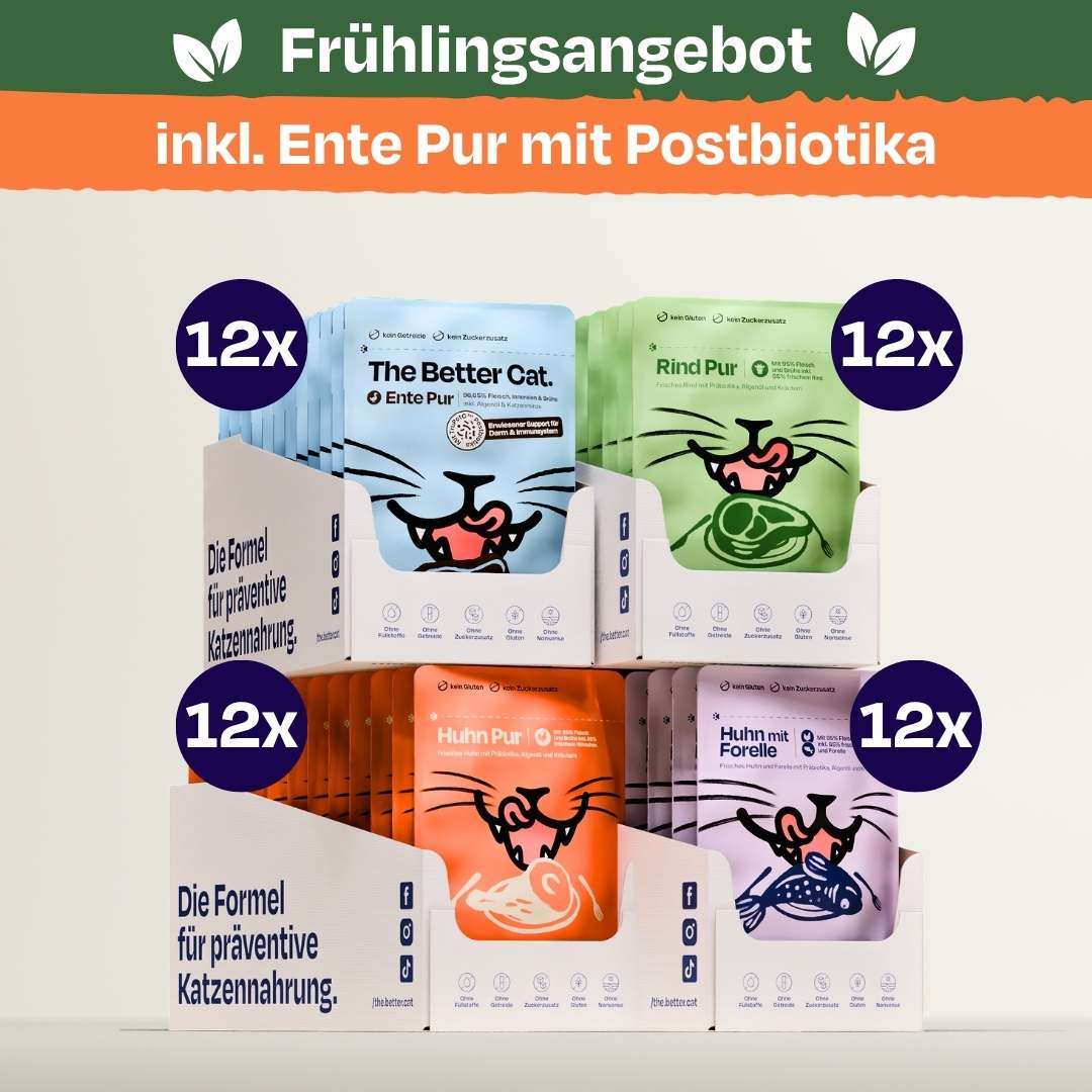Nass Super Sparpaket Sparplan (Huhn + Ente + Rind + Forelle)