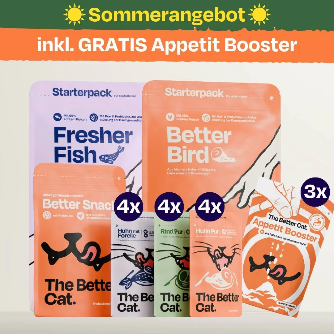 Spar Angebote