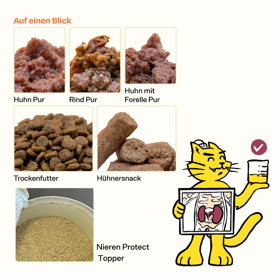 Nierenschutz-Probier-Pack - Image 7