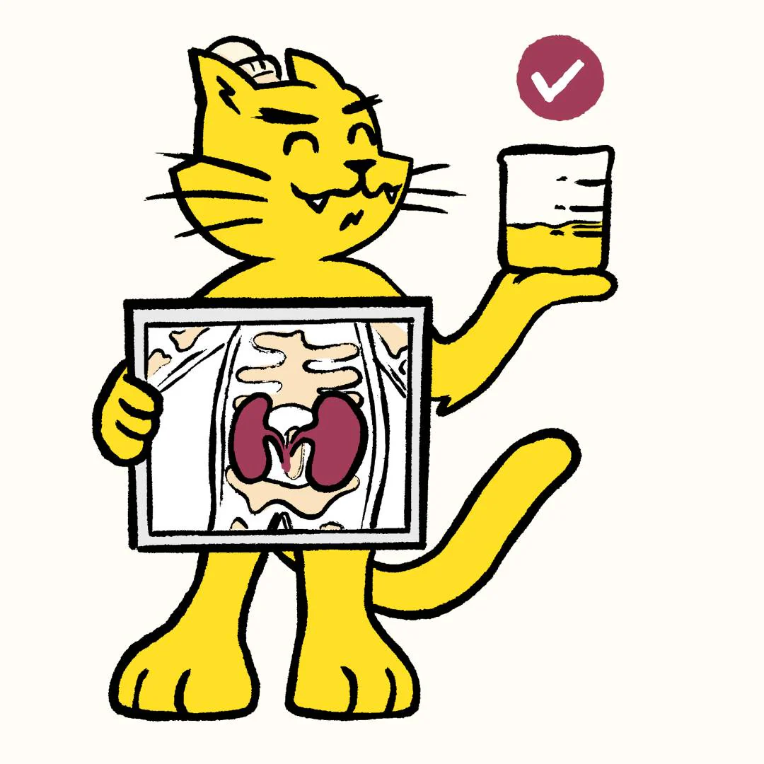 Nieren Protect - Image 11