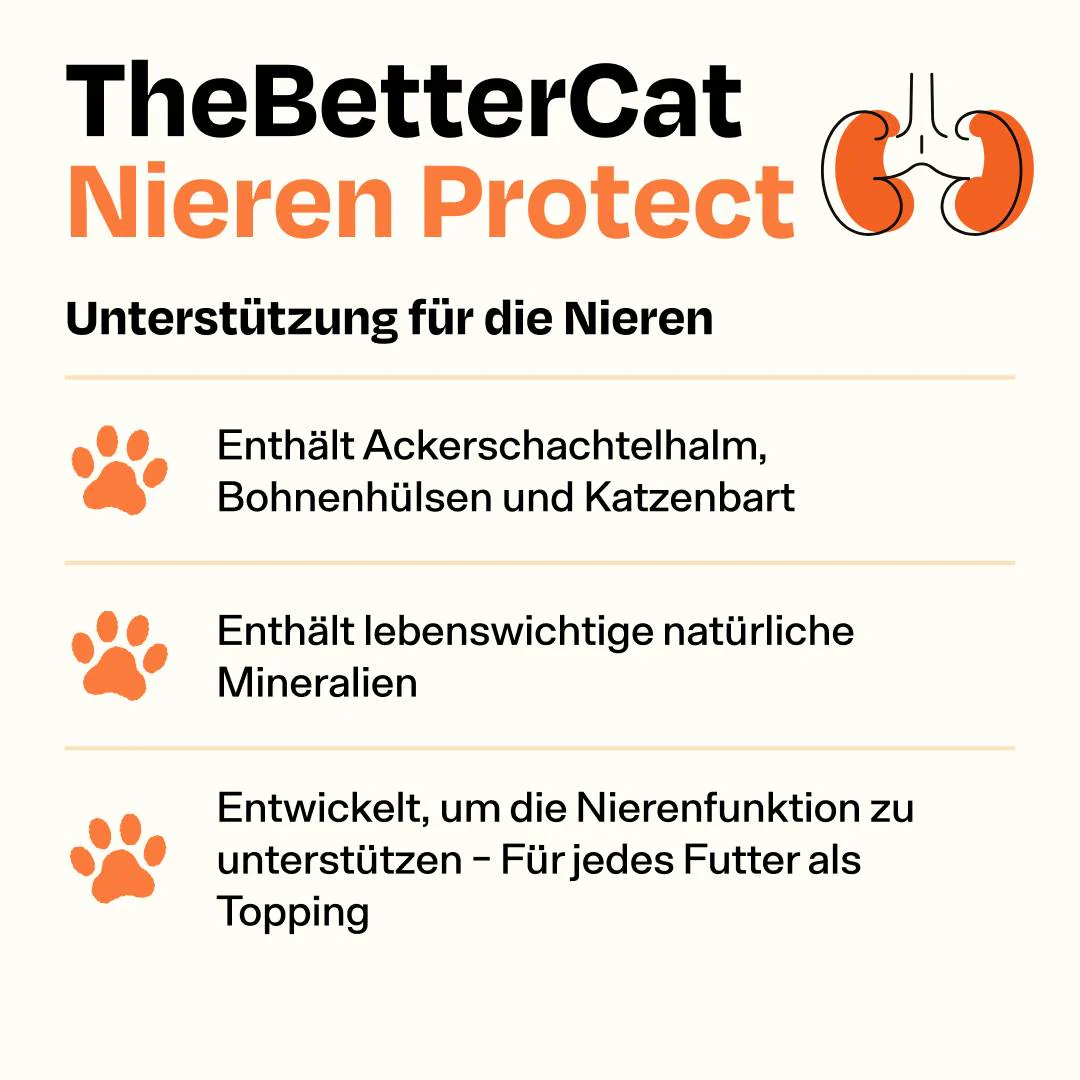 Nieren Protect - Image 7