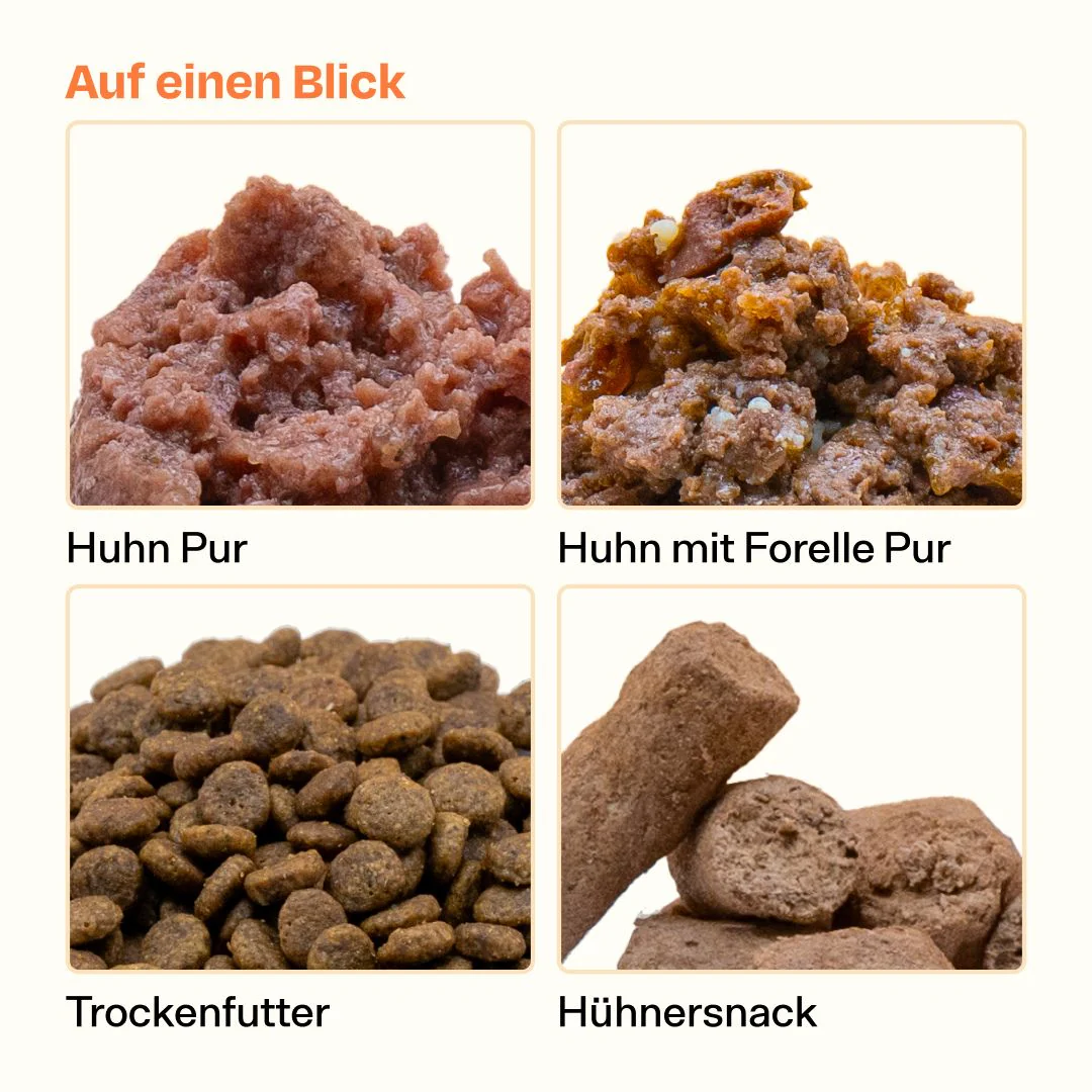 Das Schnurrbest Bundle - Image 8