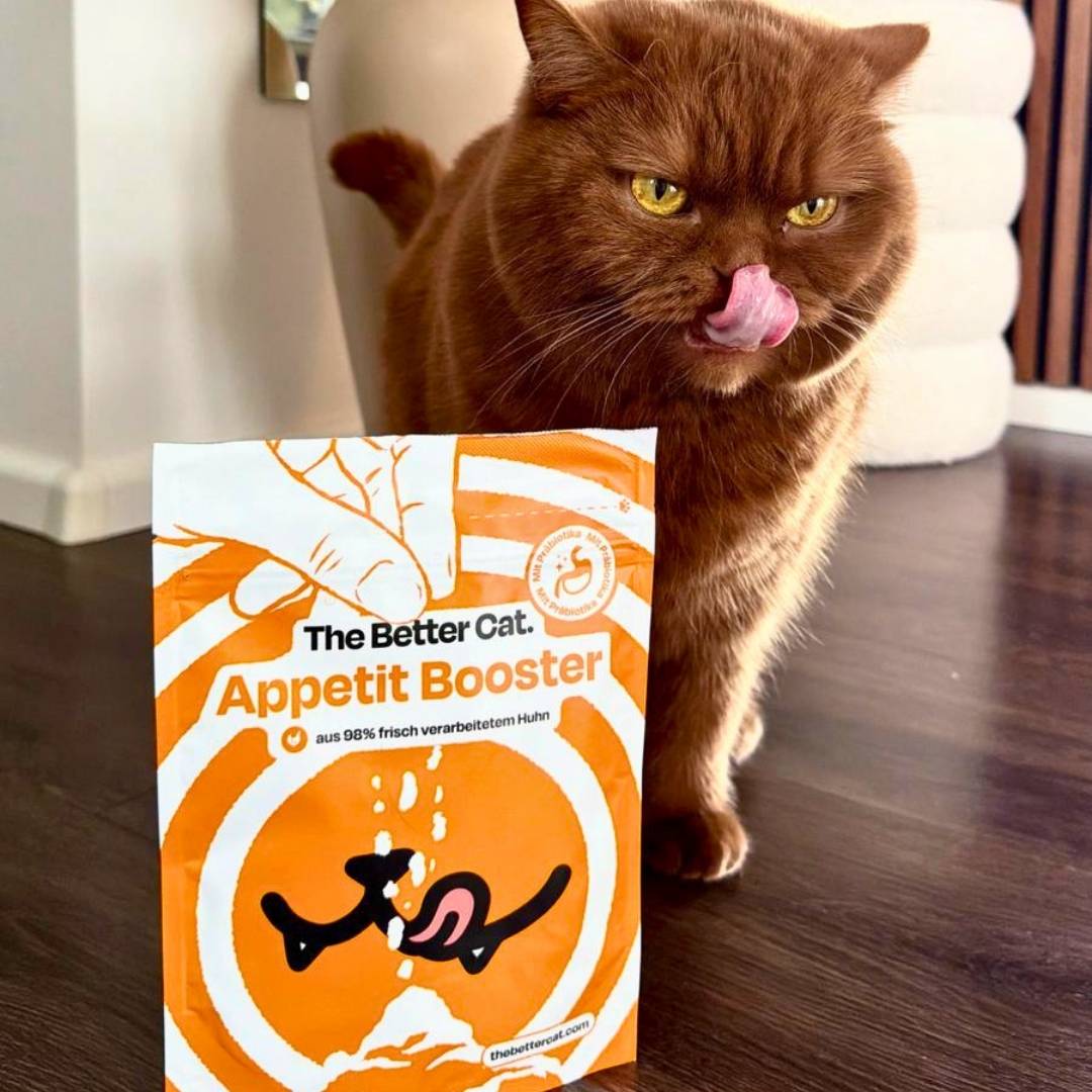 Sinas Lieblingspaket mit Buch & GRATIS Appetit Booster - Image 12