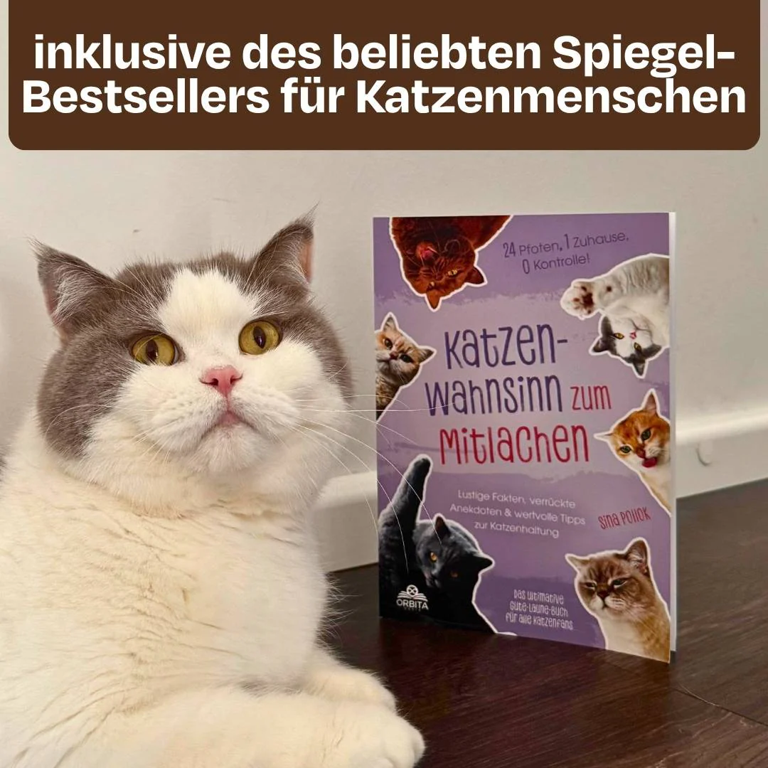 Sinas Lieblingspaket mit Buch & GRATIS Appetit Booster - Image 3